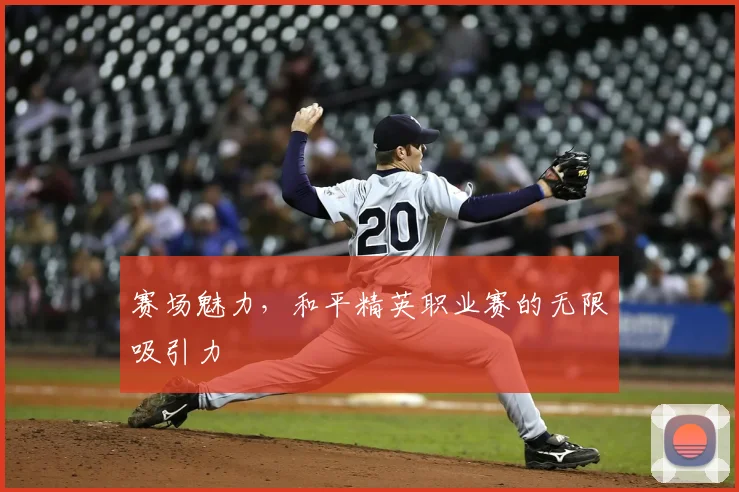 赛场魅力,和平精英职业赛的无限吸引力